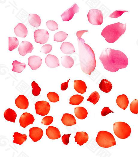 倍悦网 数说科创板：6成营收净利双增，基金持股升至11.7%