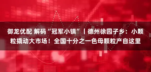 御龙优配 解码“冠军小镇”丨德州徐园子乡：小颗粒撬动大市场！全国十分之一色母颗粒产自这里