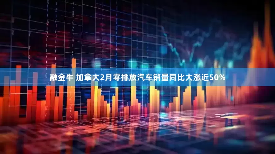 融金牛 加拿大2月零排放汽车销量同比大涨近50%